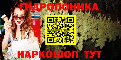 ГАЛЛЮЦИНОГЕННЫЕ ГРИБЫ Пенза
